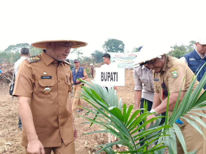 Prowitra Resmi Diluncurkan, Bupati Bungo Fokus Kawal Verifikasi Bibit Sawit