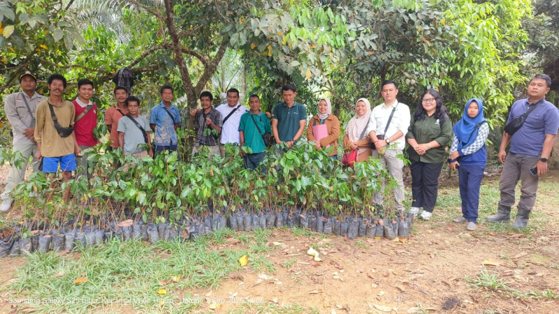 Lindungi Hutan dan Mandirikan Suku Anak Dalam, PT SAL dan TNBD Tanam 600 Bibit Jengkol