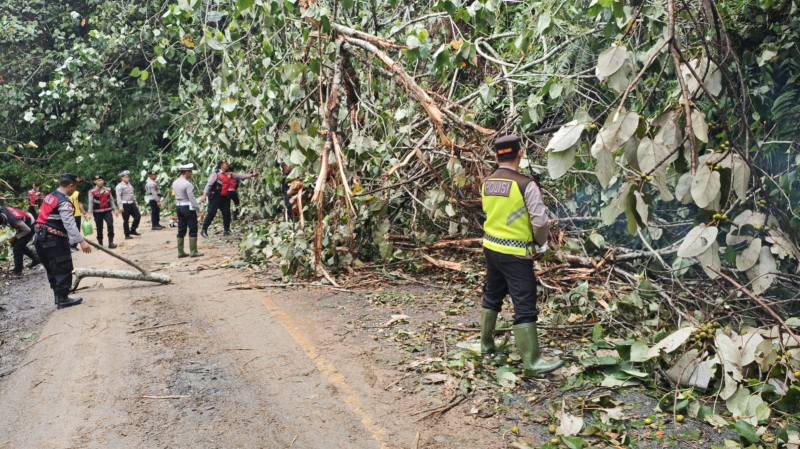 longsor Susulan Timbun Jalan Lintas Sungai Penuh–Tapan, Akses Antarprovinsi Sempat Lumpuh