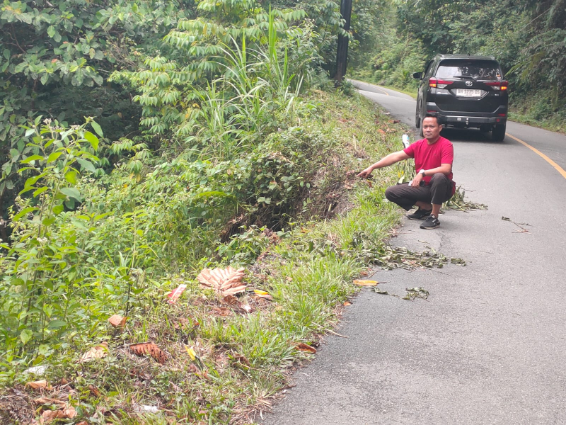 Mobil Masuk Jurang di Muara Hemat, Satu Selamat Dua Hilang