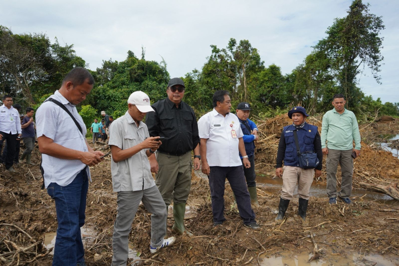 Dirjen LIP Tinjau dan Pastikan progres Cetak Sawah di Kab Bungo Berjalan Baik