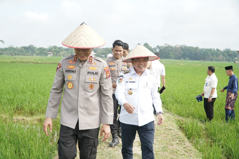 Presiden Prabowo Umumkan Indonesia Swasembada Pangan: Gubernur Al Haris Hadiri Tasyakuran Secara Virtual