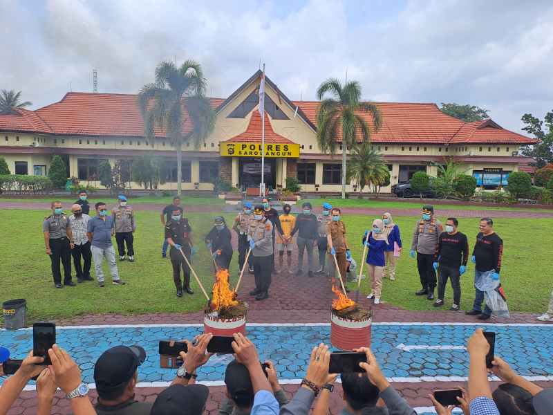 40 Kilo Ganja Dimusnahkan, AKBP Wendi : Kita Kejar Pelaku Sampai Ke Bandar Lampung