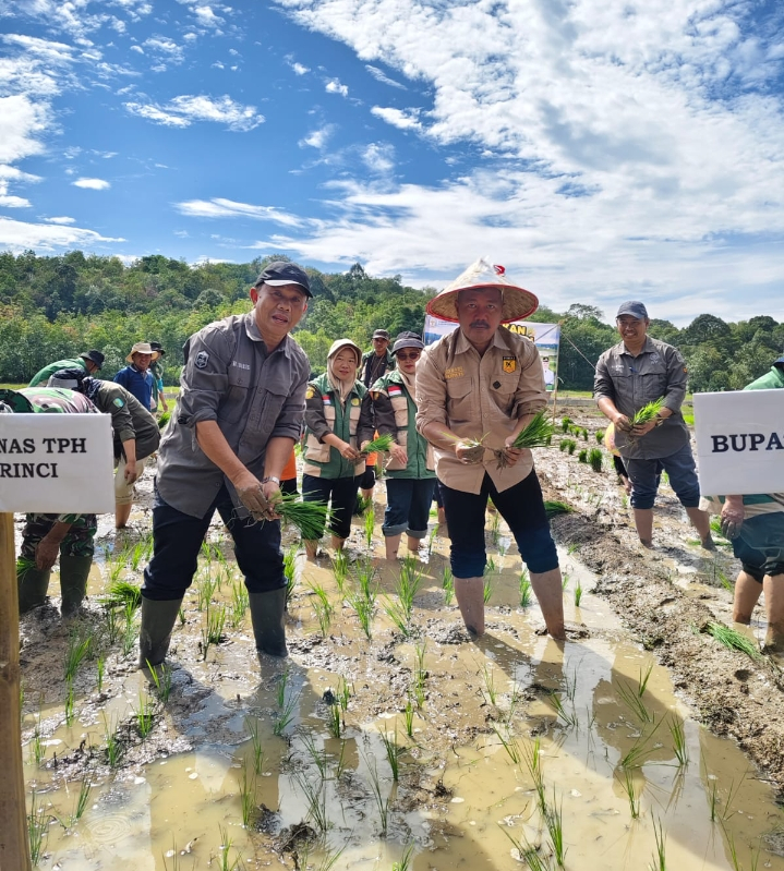 Bupati Kerinci Turun ke Sawah Bersama Petani, Dorong Swasembada Benih 2026