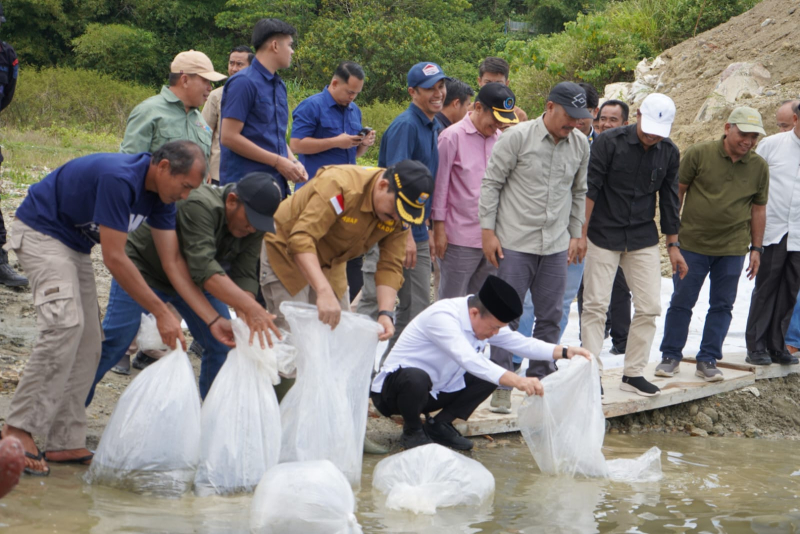 Gubernur Al Haris Tinjau Bendungan PLTA Danau Kerinci, Lepas 10.000 Benih Ikan