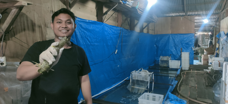 Salah satu penampung udang ketak di Kecamatan Kuala Jambi.