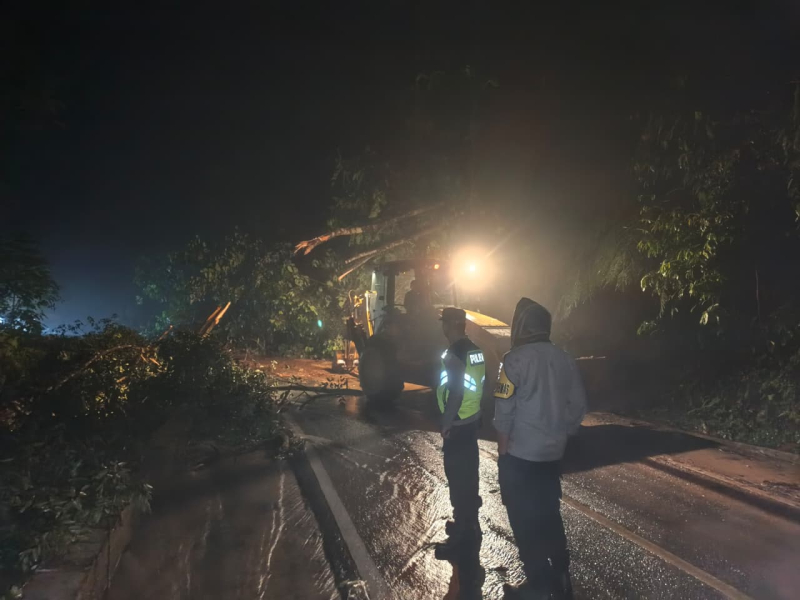Longsor dan Pohon Tumbang di Jalur Sungai Penuh–Tapan, Akses Truk Masih Terhambat