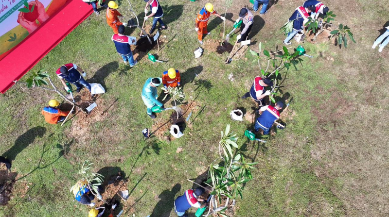 Hutama Karya Tanam 17.000 Pohon di JTTS, Target Serap 9.930 Ton Emisi Karbon hingga 2050